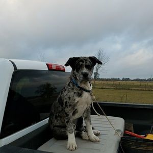 Meet your Posher, Gary